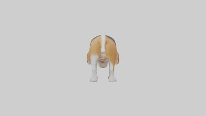 3D model Beagle dog sniffing ground model VR / AR / low-poly