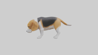 3D model Beagle dog sniffing ground model VR / AR / low-poly
