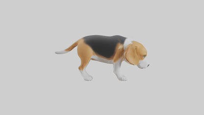 3D model Beagle dog sniffing ground model VR / AR / low-poly