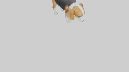 3D model Beagle dog sniffing ground model VR / AR / low-poly