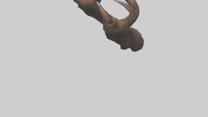 3D model Bear Claws VR / AR / low-poly