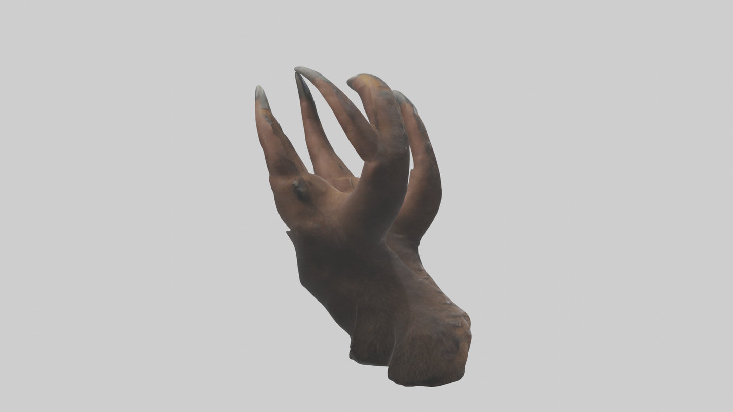 3D model Bear Claws VR / AR / low-poly