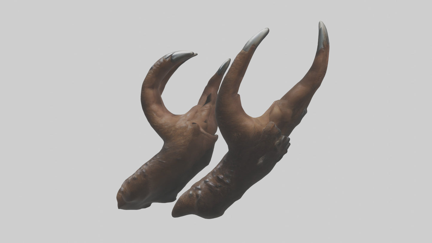 3D model Bear Claws VR / AR / low-poly