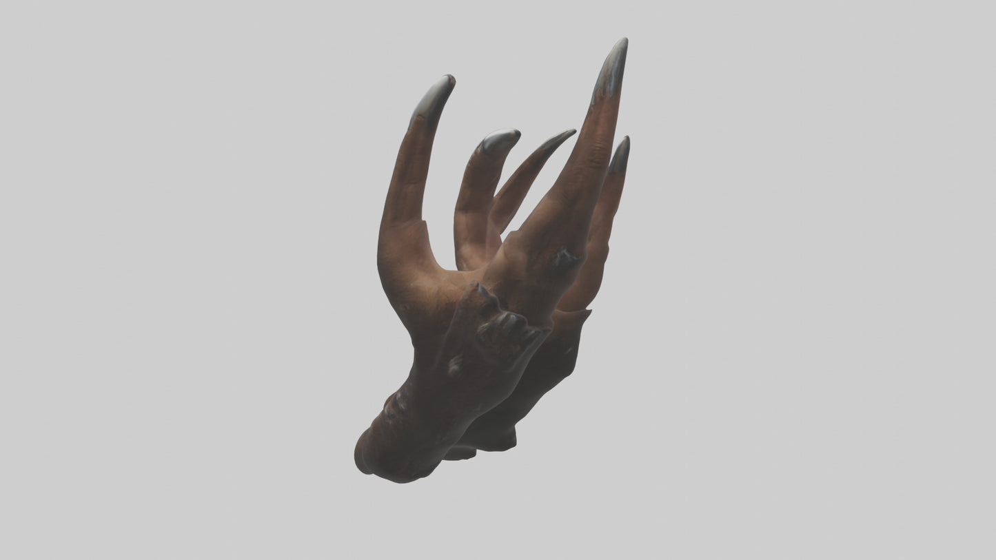 3D model Bear Claws VR / AR / low-poly
