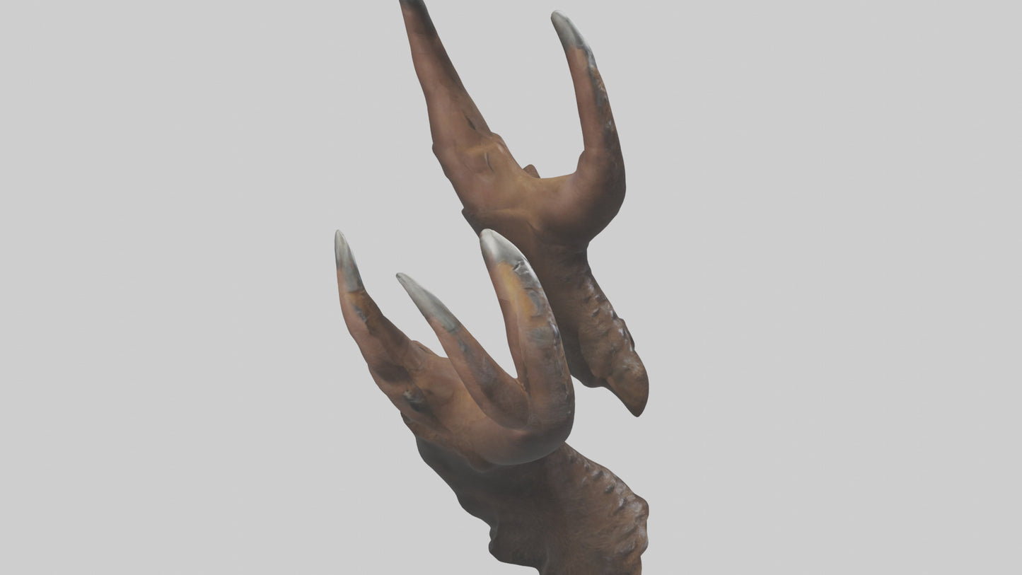 3D model Bear Claws VR / AR / low-poly