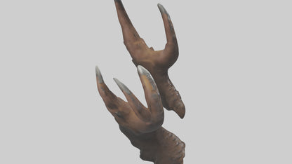 3D model Bear Claws VR / AR / low-poly