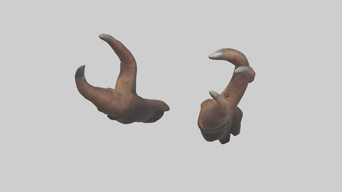 3D model Bear Claws VR / AR / low-poly