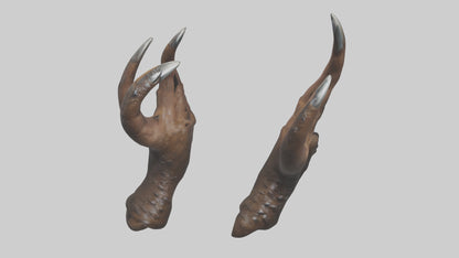 3D model Bear Claws VR / AR / low-poly