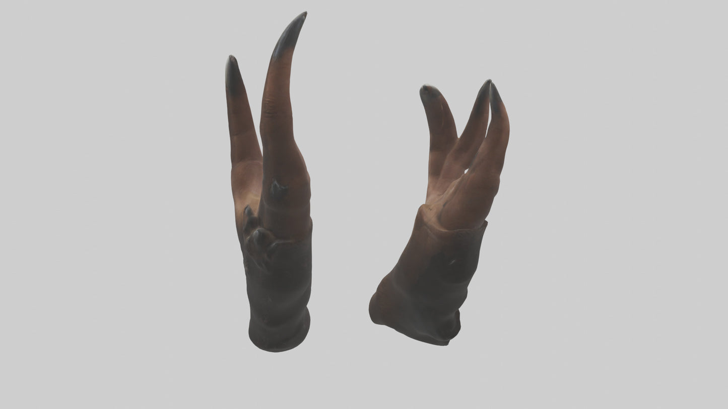 3D model Bear Claws VR / AR / low-poly