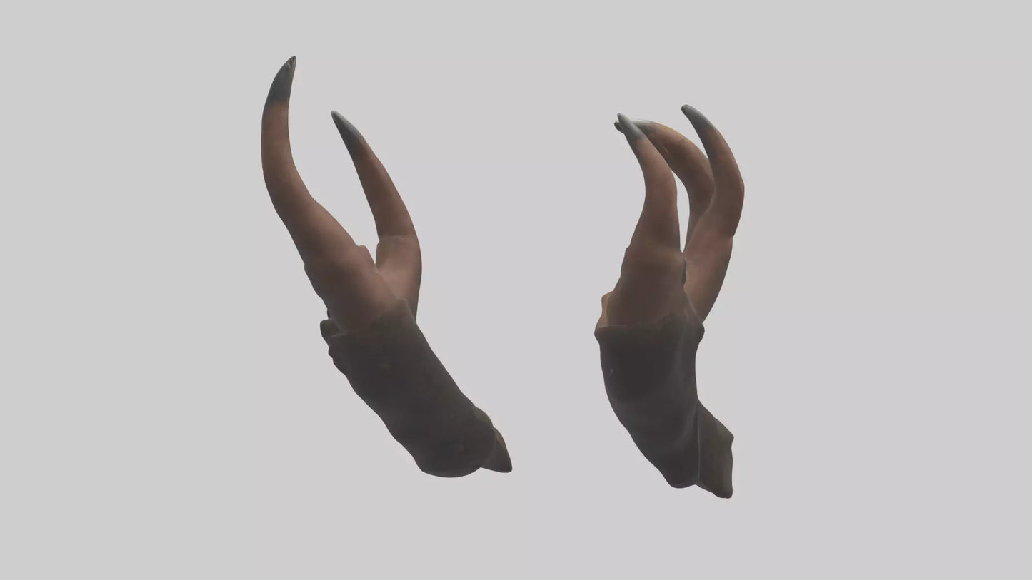 3D model Bear Claws VR / AR / low-poly