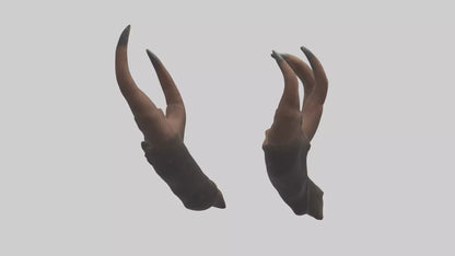 3D model Bear Claws VR / AR / low-poly