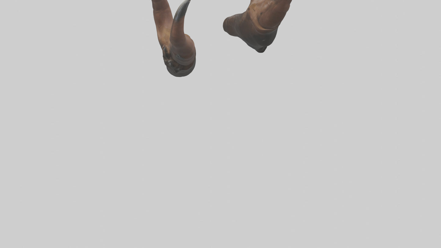 3D model Bear Claws VR / AR / low-poly