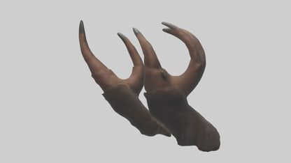 3D model Bear Claws VR / AR / low-poly