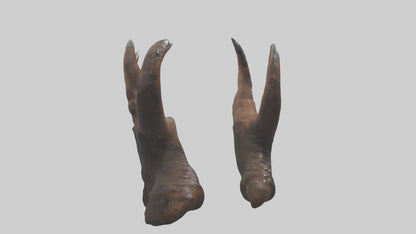 3D model Bear Claws VR / AR / low-poly