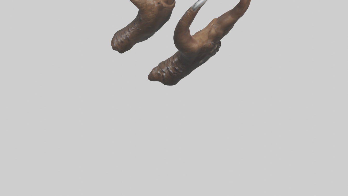 3D model Bear Claws VR / AR / low-poly