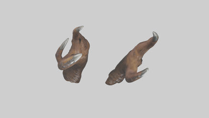3D model Bear Claws VR / AR / low-poly