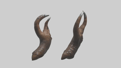 3D model Bear Claws VR / AR / low-poly