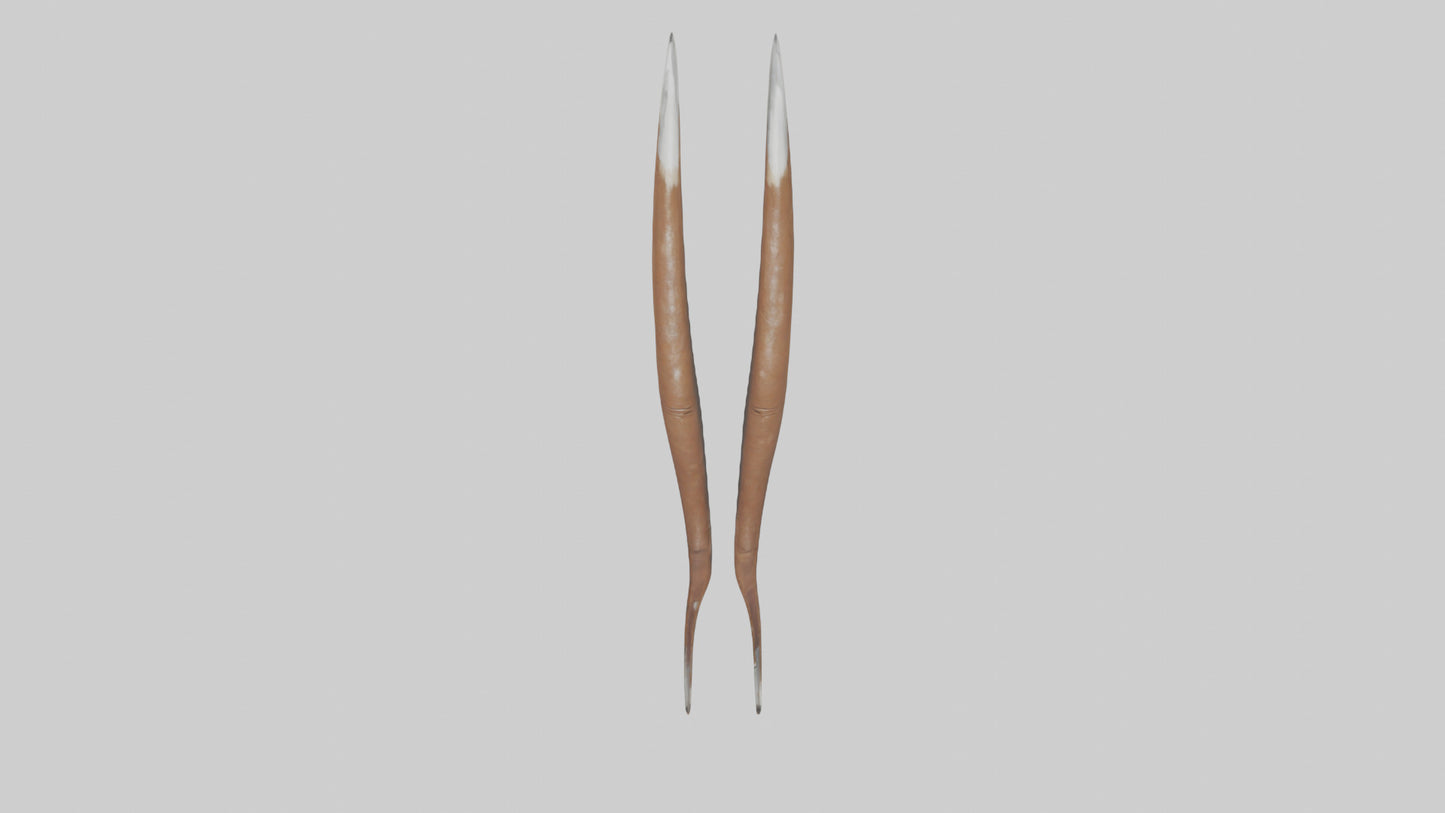 3D model Bear Claws Model VR / AR / low-poly