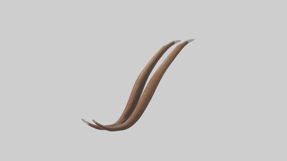 3D model Bear Claws Model VR / AR / low-poly