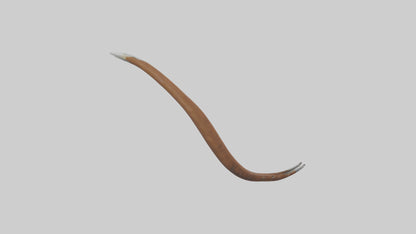 3D model Bear Claws Model VR / AR / low-poly