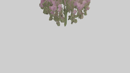 3D model Beardtongue model VR / AR / low-poly