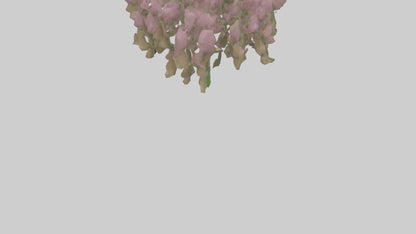 3D model Beardtongue model VR / AR / low-poly
