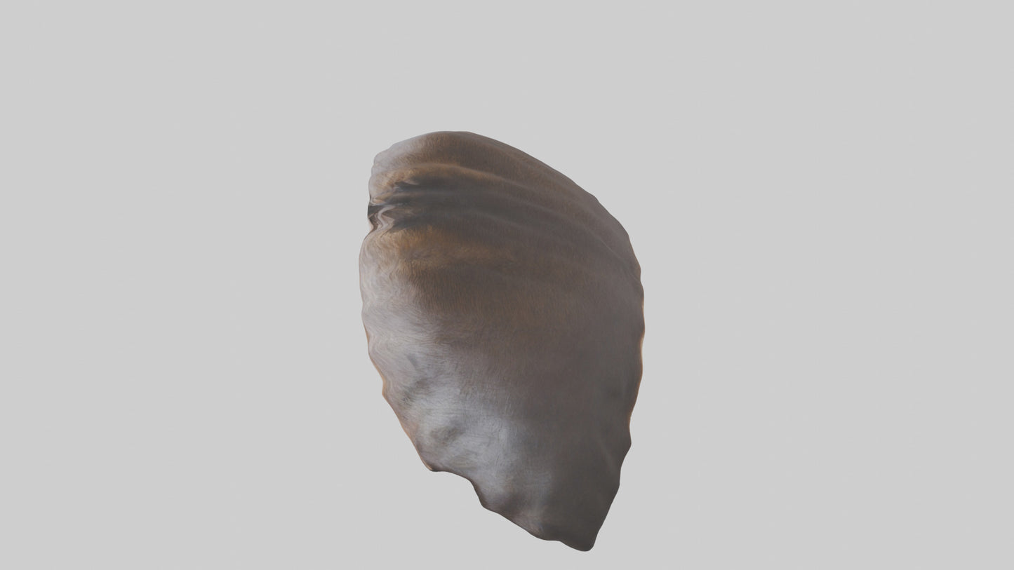 3D model Beaver Rib VR / AR / low-poly