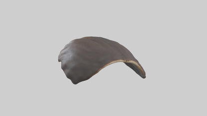 3D model Beaver Rib VR / AR / low-poly