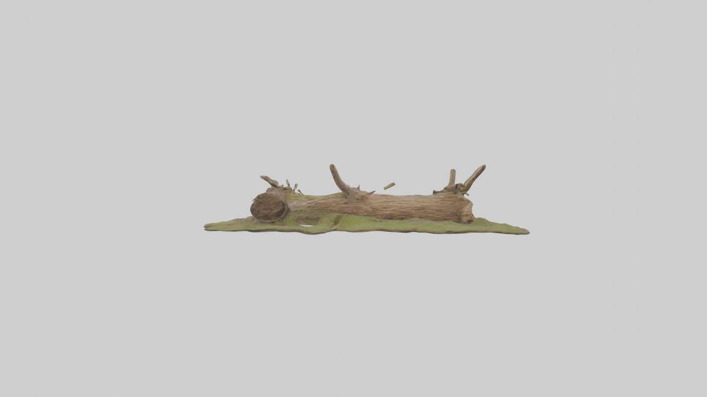 3D model Beaverdam Model 1 VR / AR / low-poly