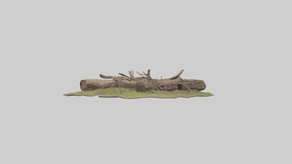3D model Beaverdam Model 1 VR / AR / low-poly
