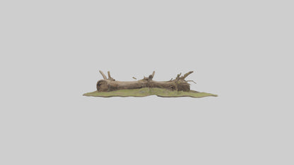 3D model Beaverdam Model 1 VR / AR / low-poly