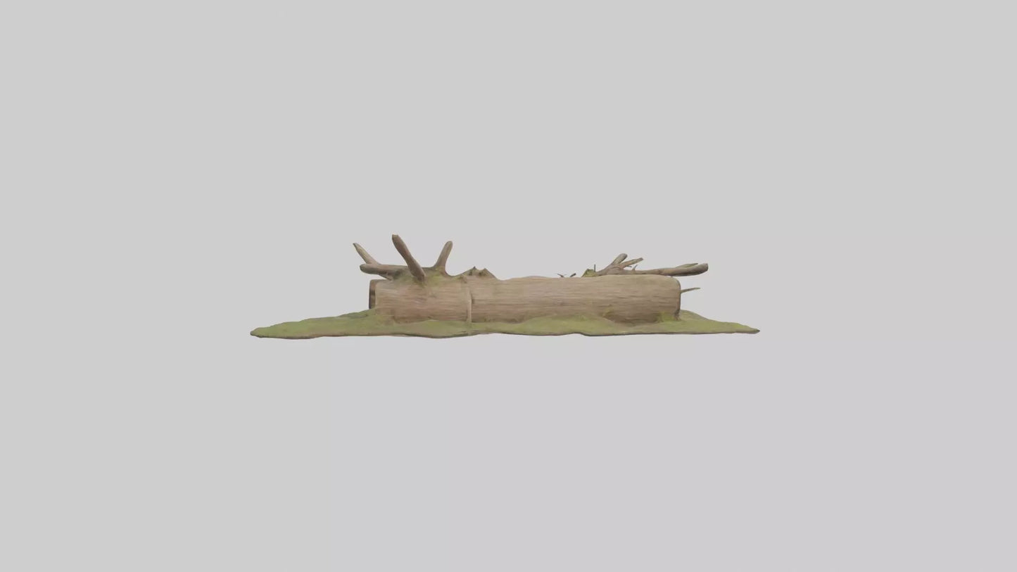 3D model Beaverdam Model 1 VR / AR / low-poly