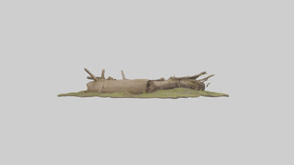 3D model Beaverdam Model 1 VR / AR / low-poly