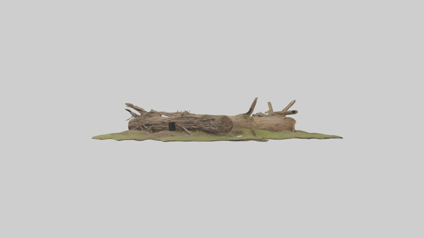 3D model Beaverdam Model 1 VR / AR / low-poly