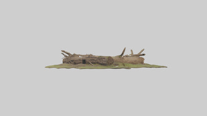 3D model Beaverdam Model 1 VR / AR / low-poly