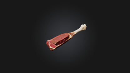 3D model Beef Shank Model VR / AR / low-poly