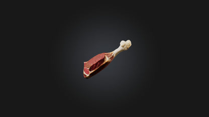 3D model Beef Shank Model VR / AR / low-poly