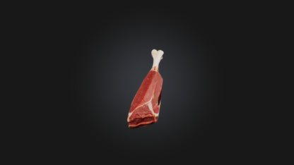 3D model Beef Shank Model VR / AR / low-poly