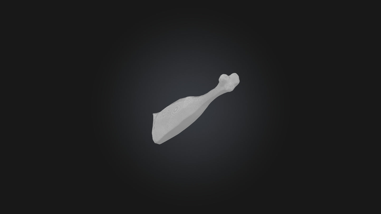 3D model Beef Shank Model VR / AR / low-poly