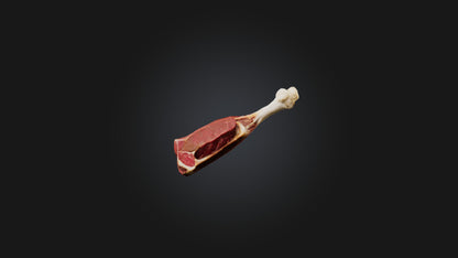 3D model Beef Shank Model VR / AR / low-poly