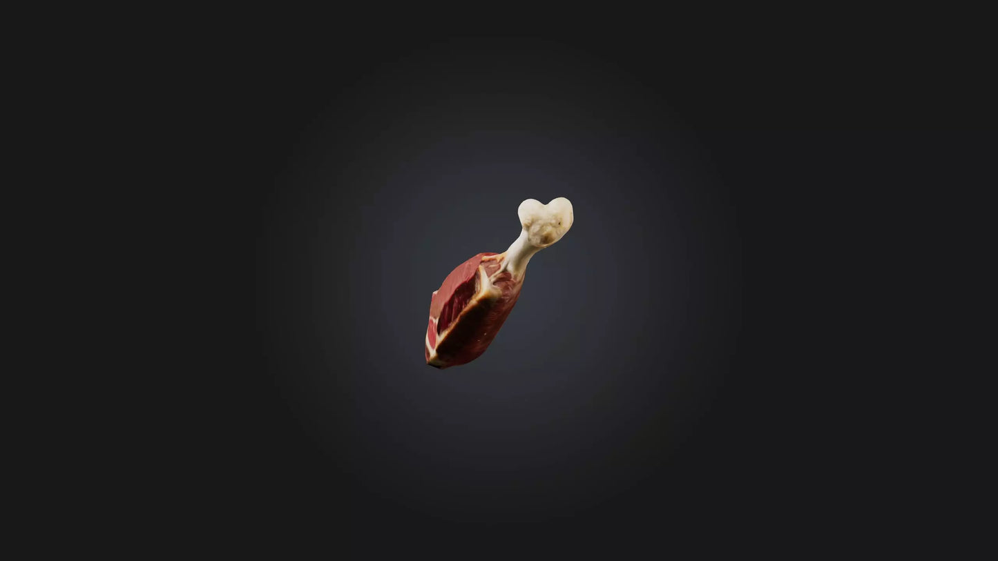 3D model Beef Shank Model VR / AR / low-poly