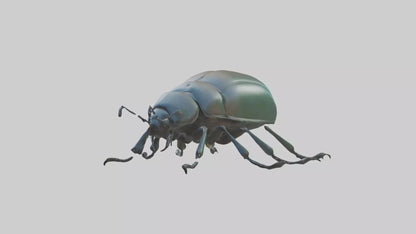 3D model Beetle Model 1 VR / AR / low-poly