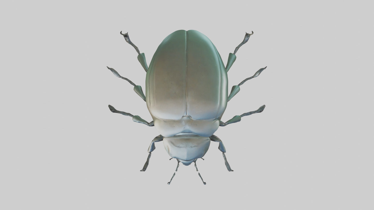 3D model Beetle Model 1 VR / AR / low-poly