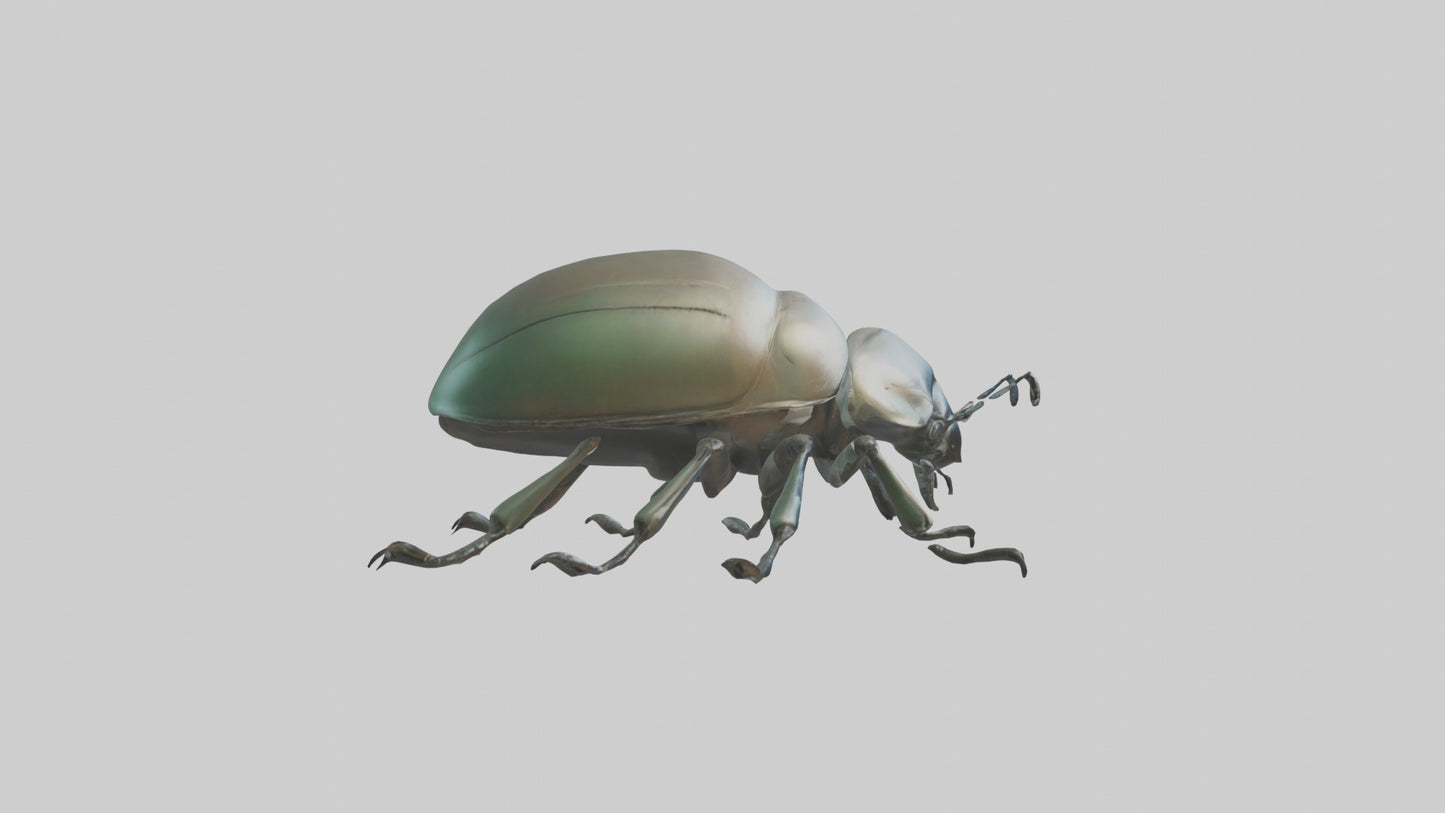 3D model Beetle Model 1 VR / AR / low-poly