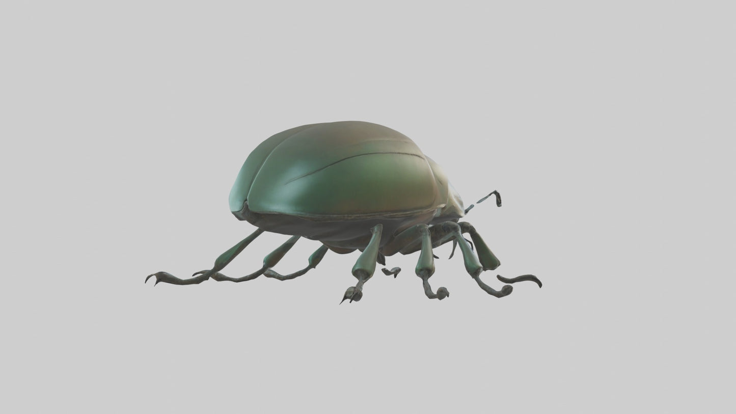 3D model Beetle Model 1 VR / AR / low-poly