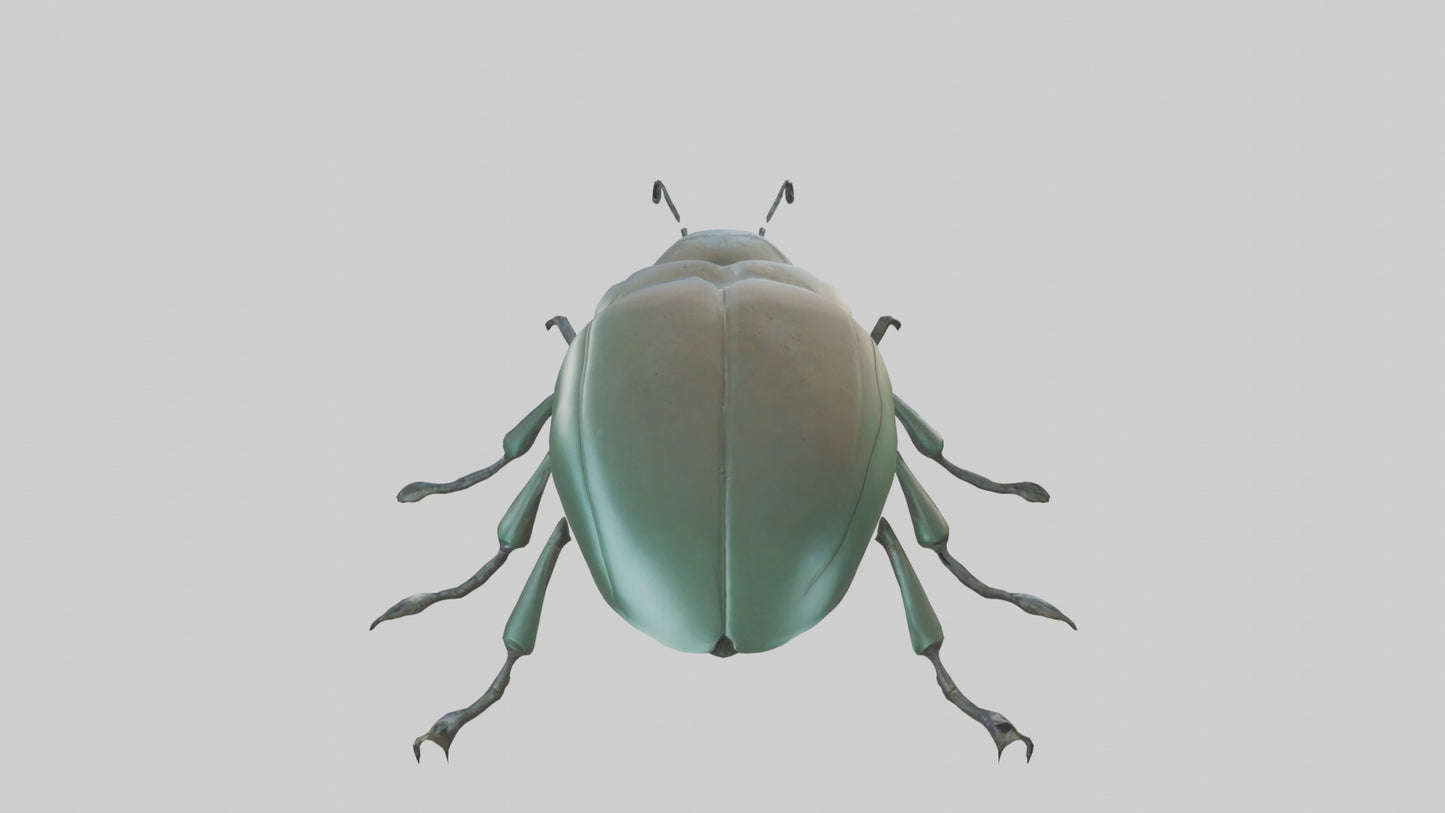 3D model Beetle Model 1 VR / AR / low-poly