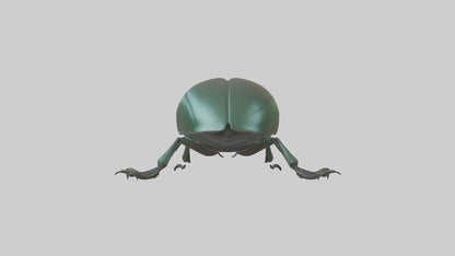 3D model Beetle Model 1 VR / AR / low-poly