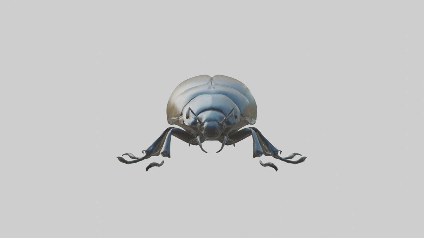 3D model Beetle Model 1 VR / AR / low-poly