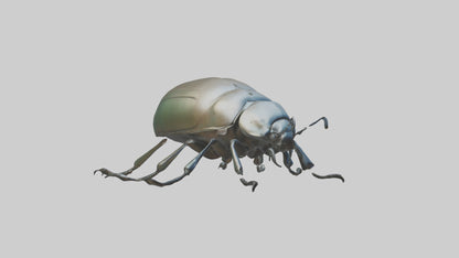 3D model Beetle Model 1 VR / AR / low-poly