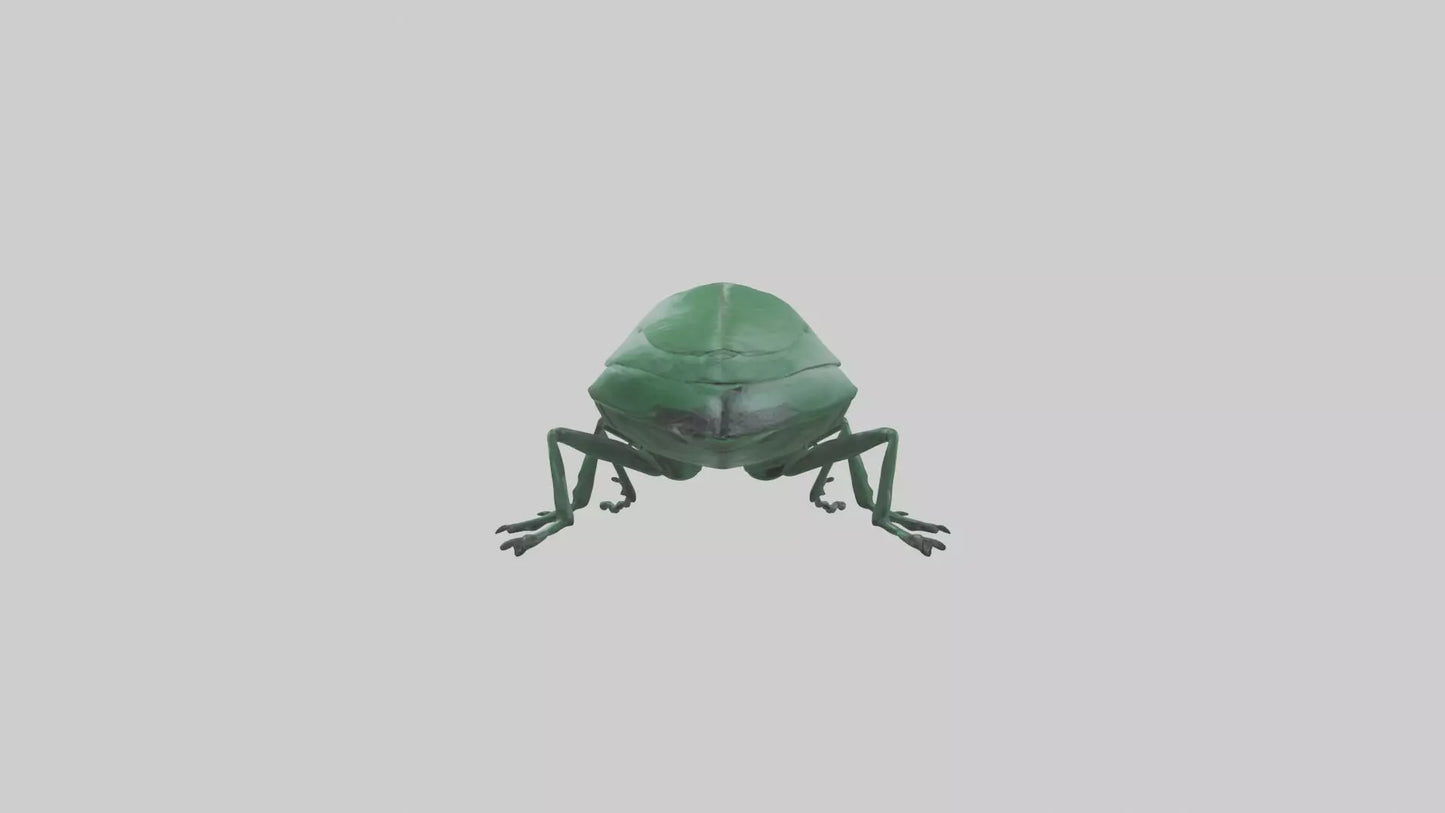 3D model Beetle on leaf model VR / AR / low-poly